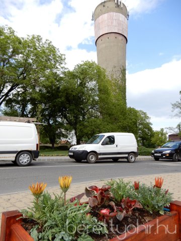 Virágos Berettyóújfalu 10